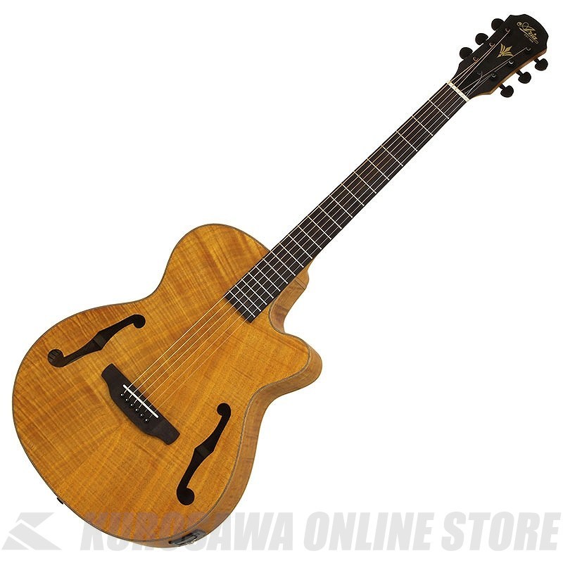 Aria Pro II FET-F2 STBR Elecord エレクトリック・アコースティック