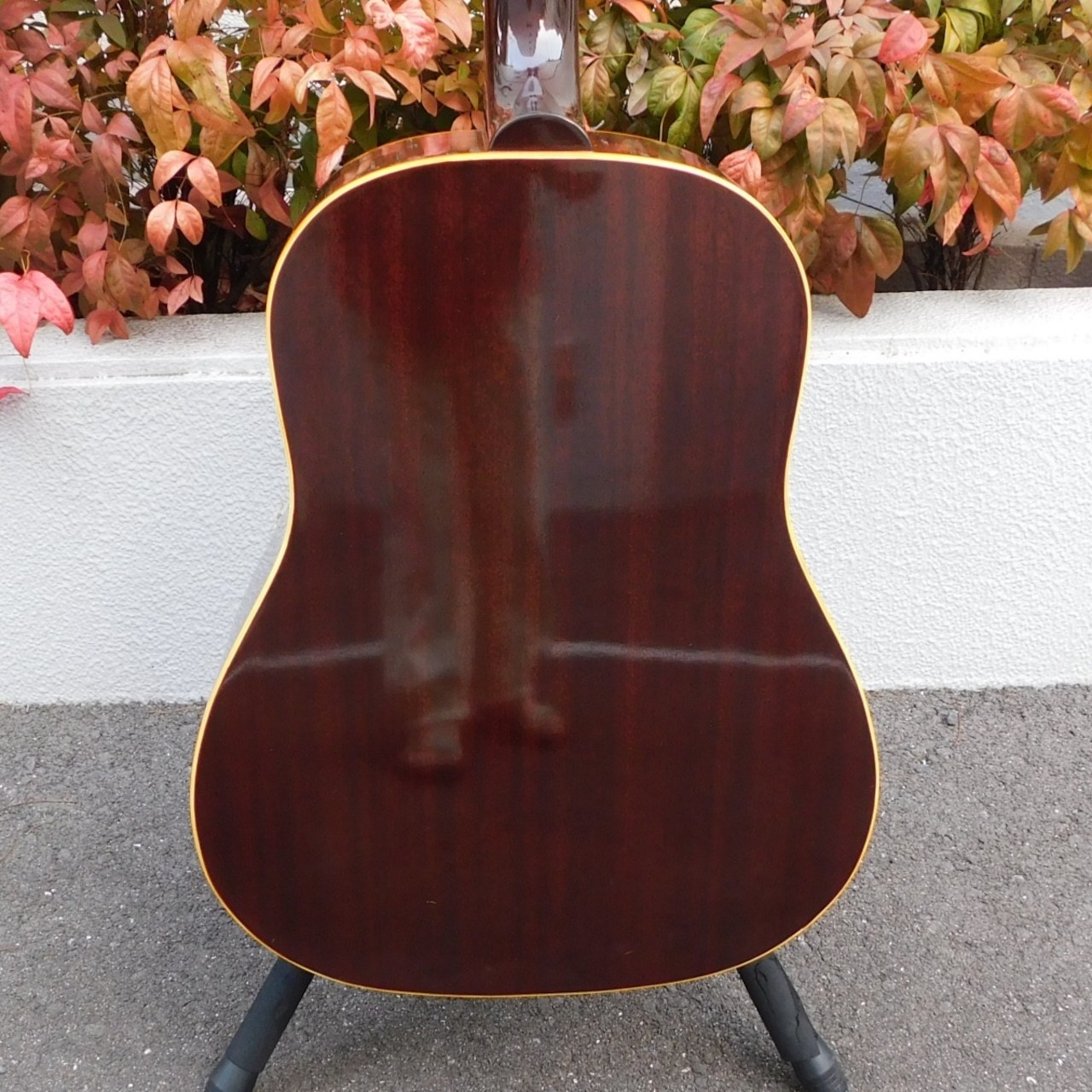 Burny BJ-60（中古）【楽器検索デジマート】