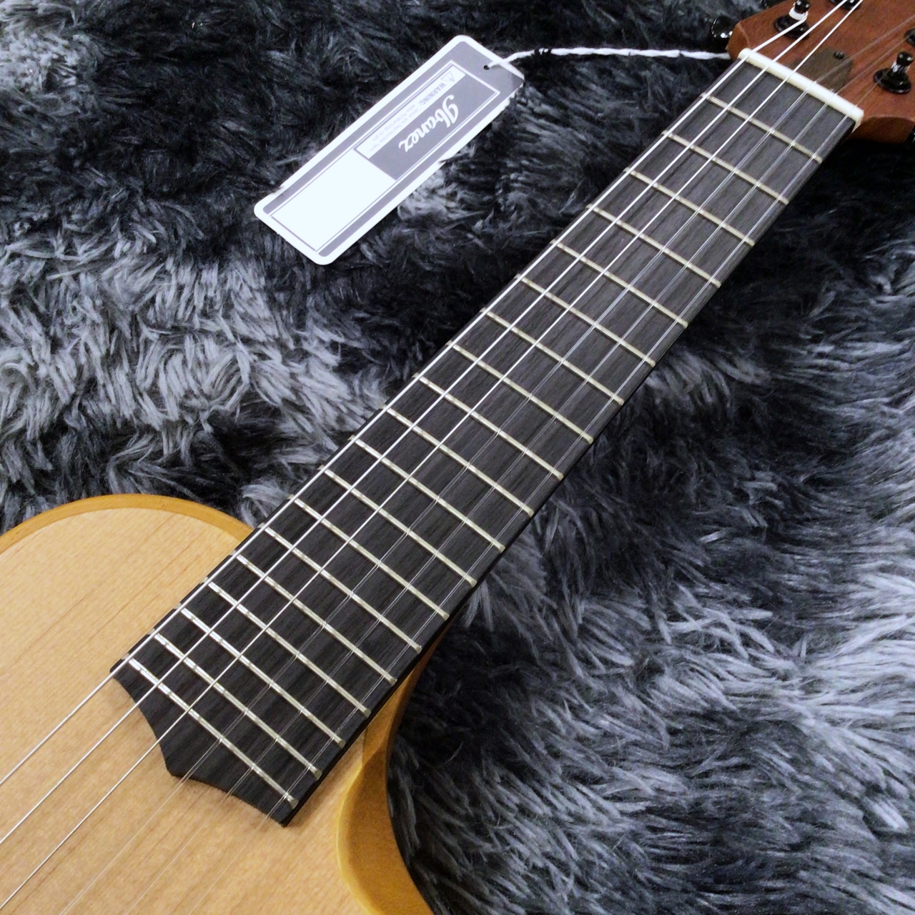 Ibanez AUP10N-OPN (Open Pore Natural) 【2025年NEWモデル】【ミニ