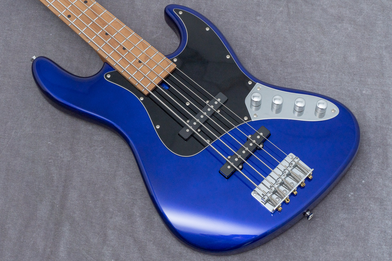 Bacchus WJB5-1DX-AC RSM/M IPM 4.75kg【GIB兵庫】（中古/送料無料