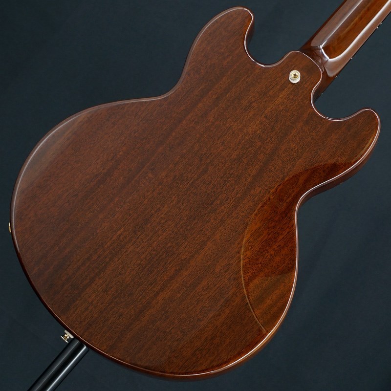 UNKNOWN 【USED】 Rozalia Urbanity Claro Walnut (Trans Brown)（中古）【楽器検索デジマート】