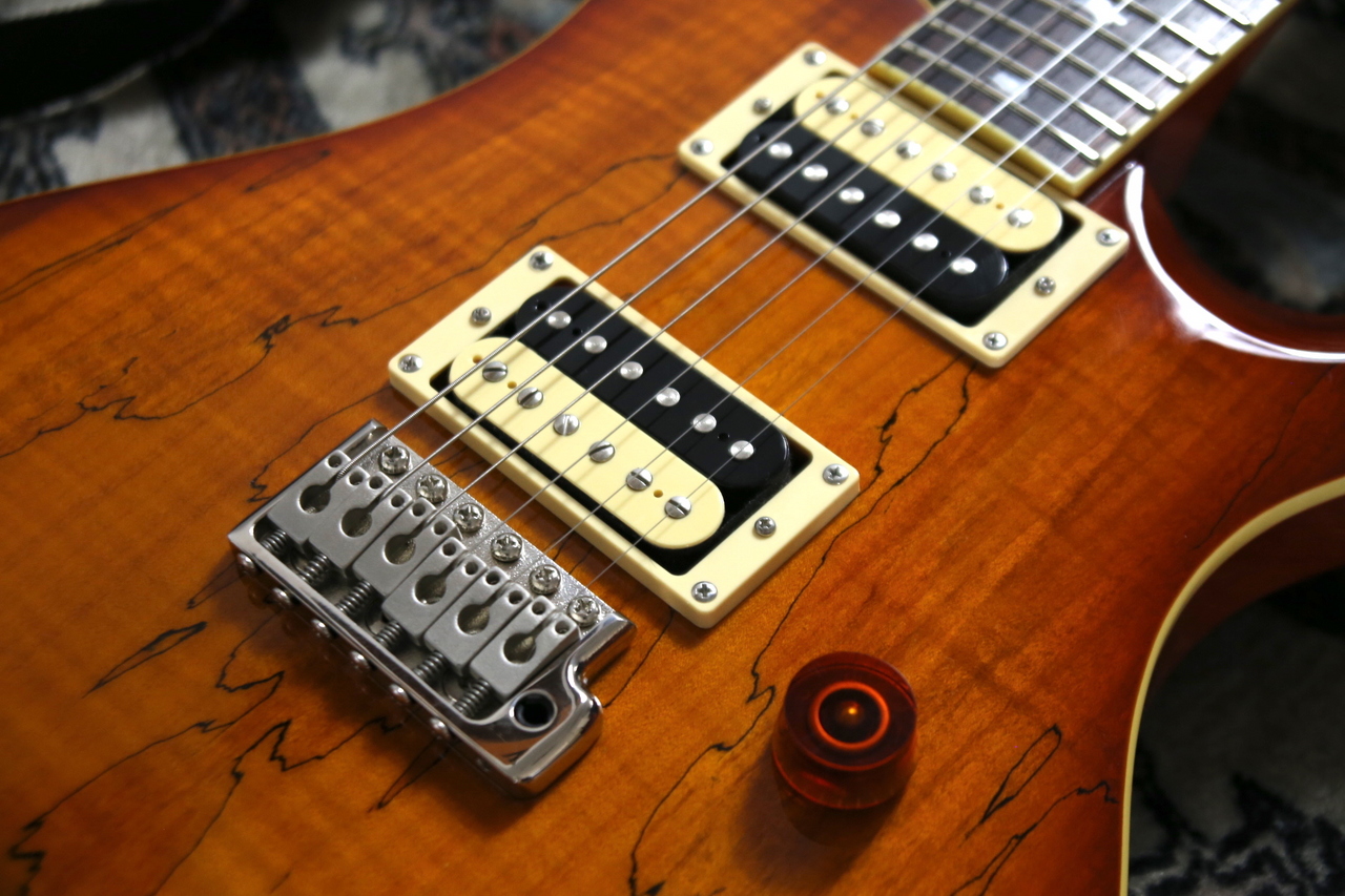 PRS SE スポルテッドメイプルトップcustom24 - エレキギター