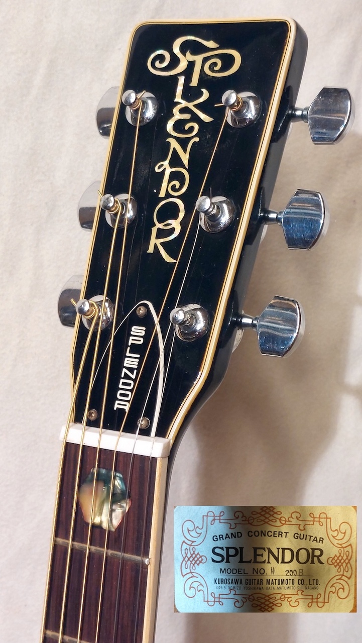 メ*ン様 SPLENDOR アコースティックギター W-200N ケース付き