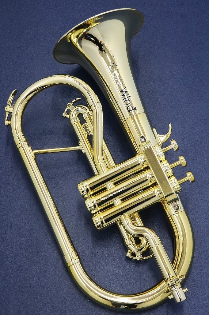 Cool Wind FH-200 GLD 《ご予約受付中》【プラスチックフリューゲル