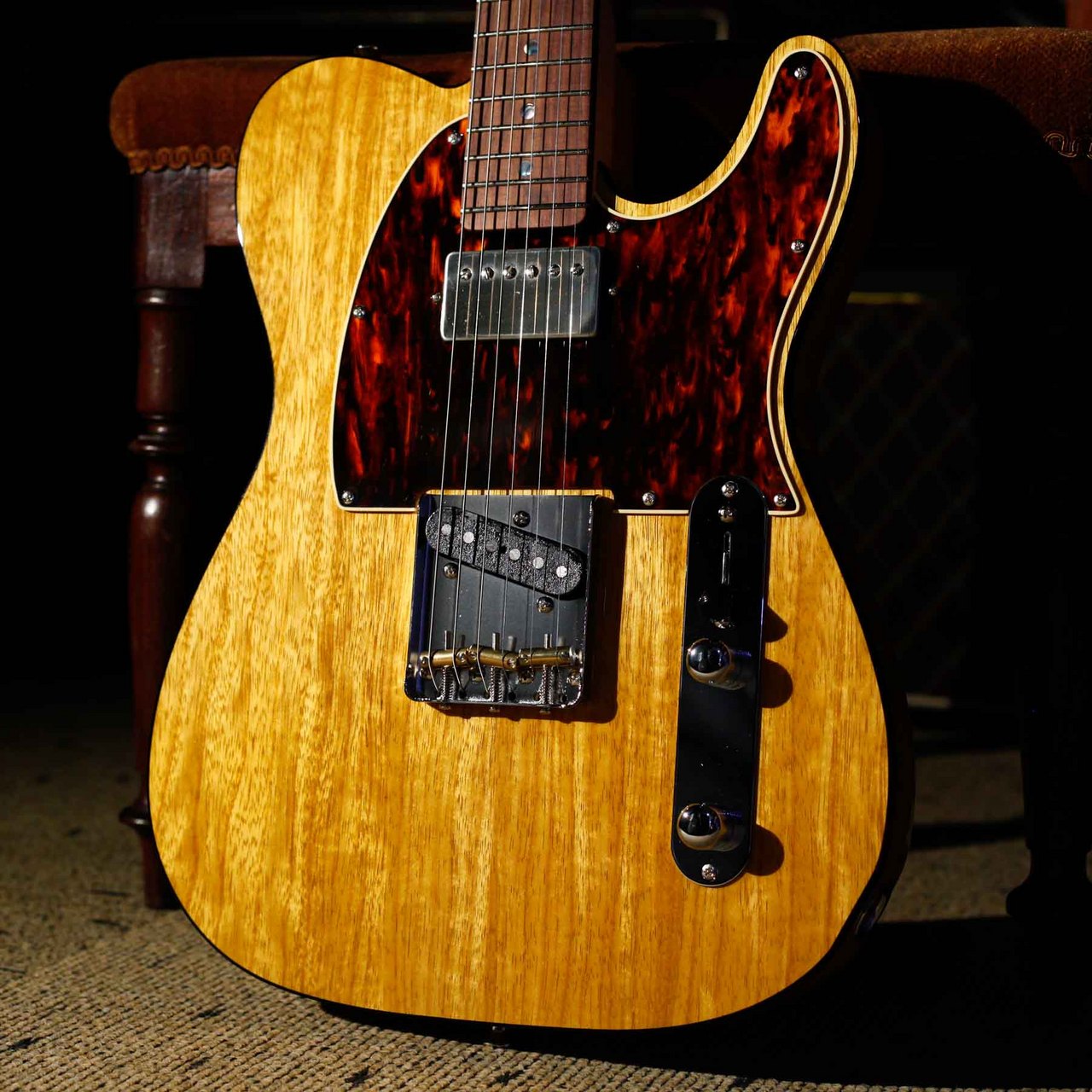 K&T MODERN VINTAGE GUITARS Teagur w/ K&T WEEP BB & T-51R 鼈甲