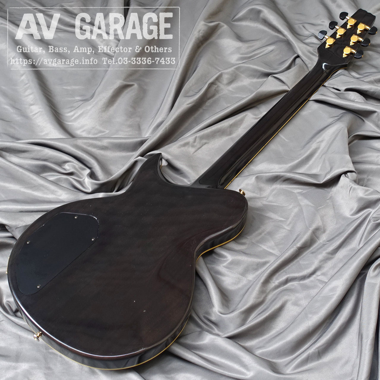 Aria Pro II PE-Inspire Super Grade Series（中古）【楽器検索