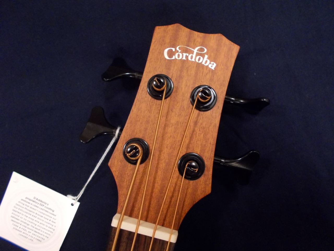 Cordoba Mini II Bass MH-E（新品）【楽器検索デジマート】