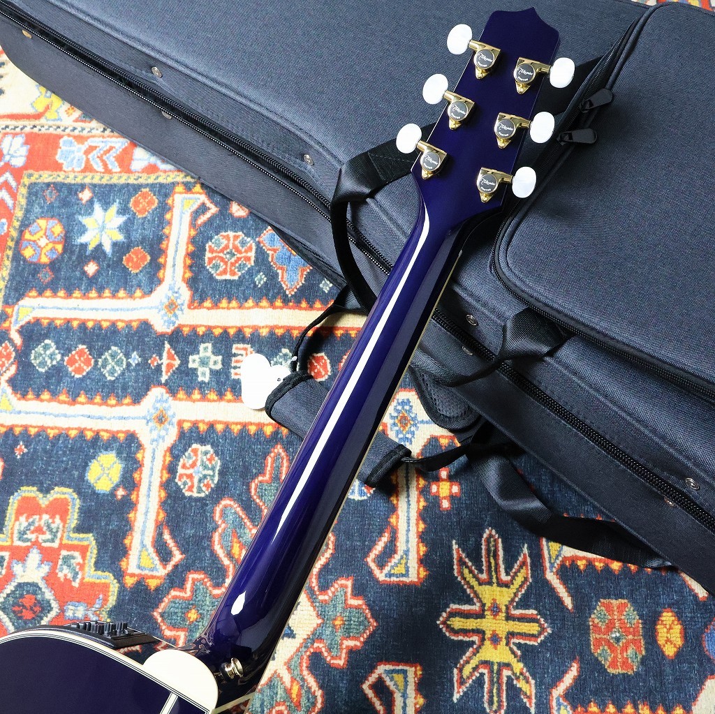 Takamine 【左利き用・デュアルピックアップ】DMP552C Lefty DBS