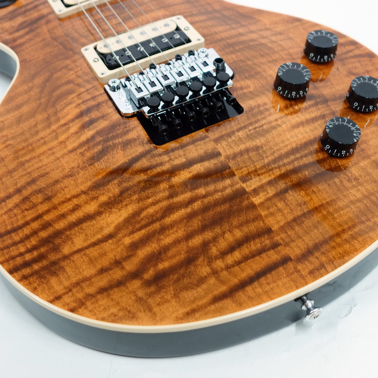 Gibson Custom Shop Dealer Select Les Paul Axcess Standard Floyd
