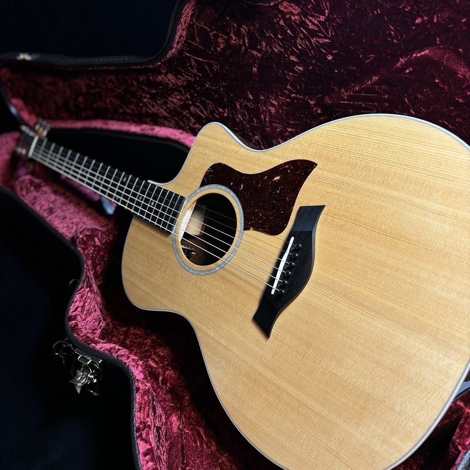 Taylor 214ce DLX 中古　美品 Taylor 【中古】214ce RW DLX〈現物写真〉（中古/送料無料