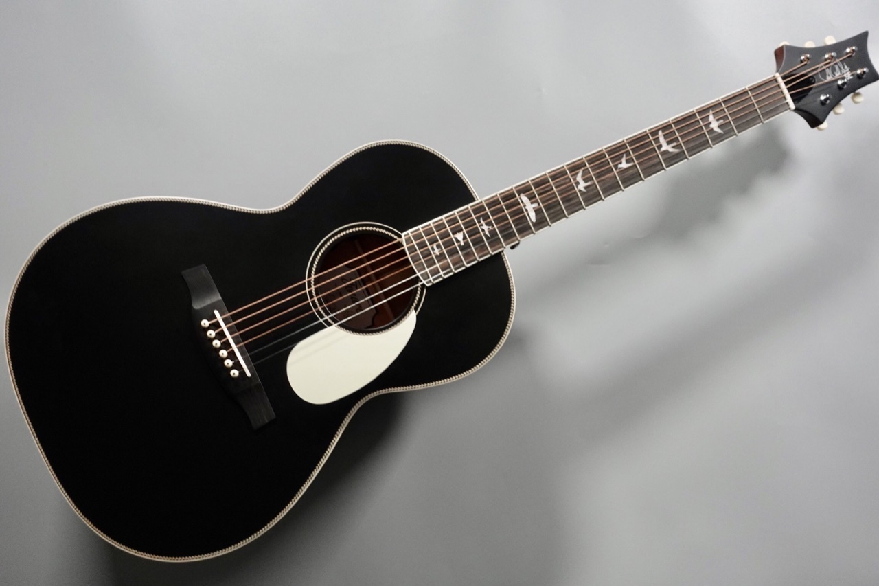 ギター Paul Reed Smith(PRS) SE Parlor Fishman Amazon.co.jp: PRS SE Parlor w/Fishman Electric Acoustic