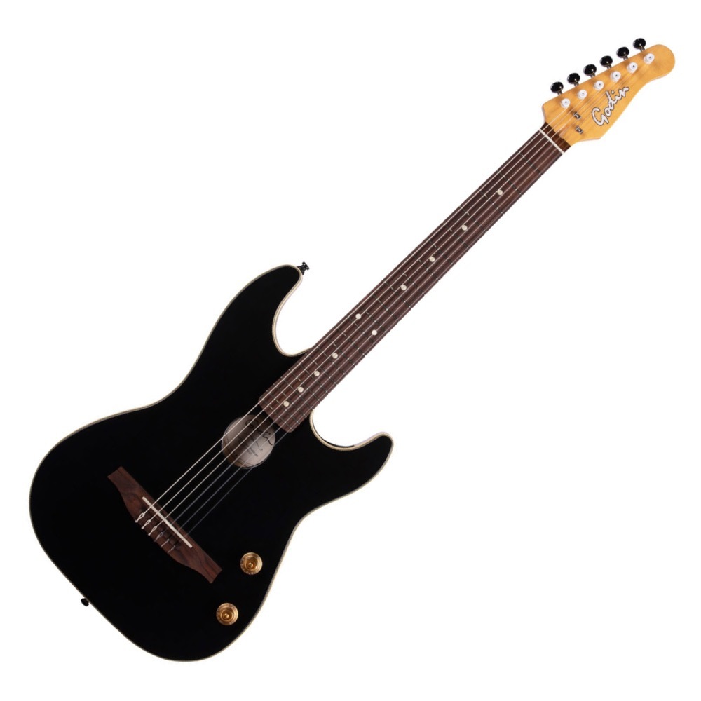 Godin ゴダン G-Tour Nylon Matte Black EQ ナイロン弦 エレガットギター