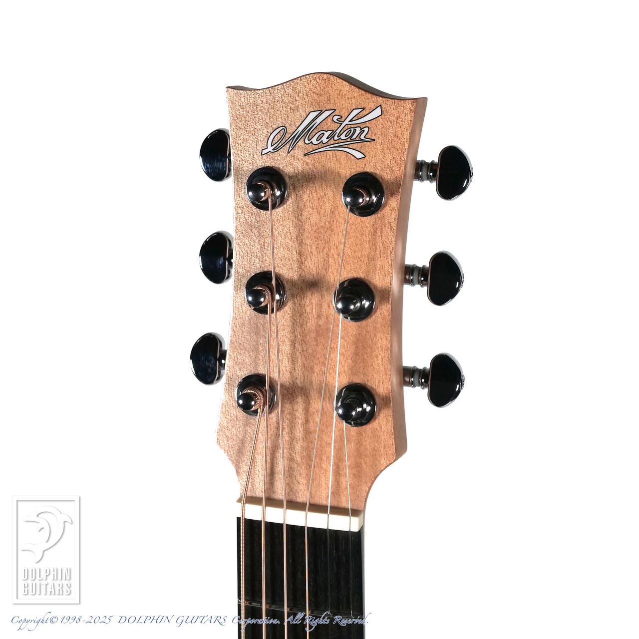M*☆様 MATON ミニメイトン EMBW6 MATON EMBW6 (Mini Maton)【48回無金利対象品】（新品）【楽器検索