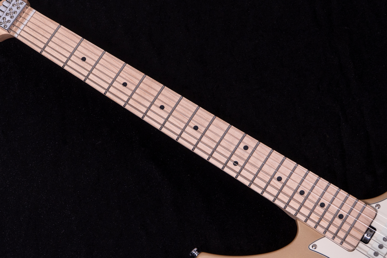 HEX Guitars NS100M S/SS（新品/送料無料）【楽器検索デジマート】