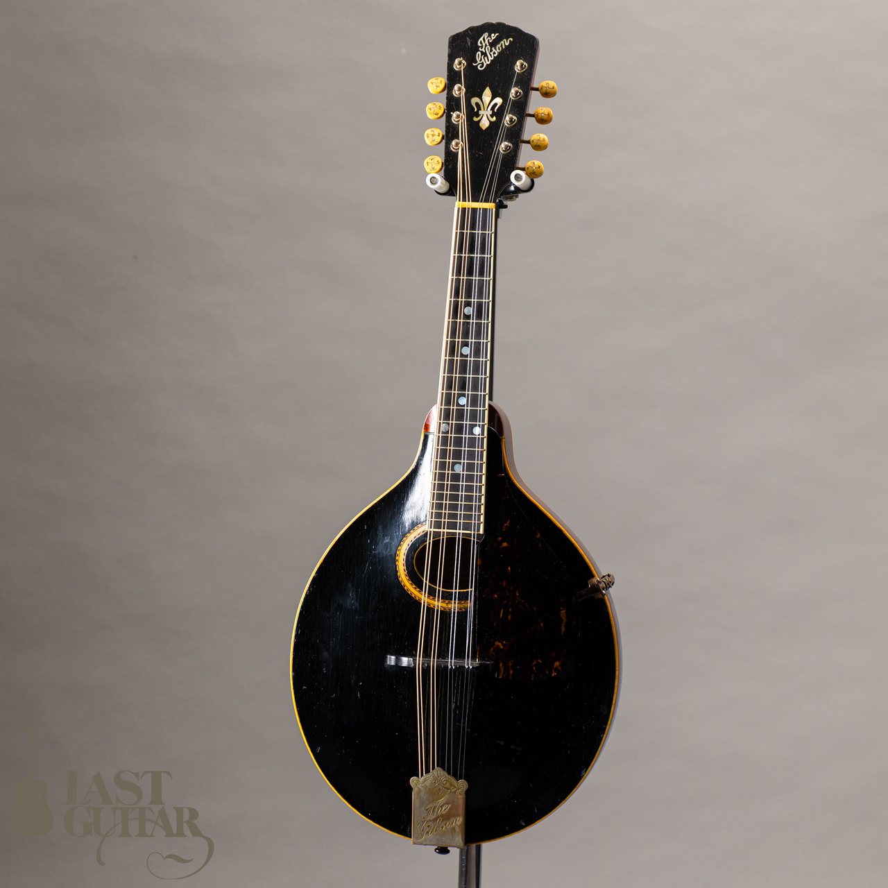【値下げ！】Gibson ビンテージ マンドリン ペグ 1900〜1910年代 Gibson A-4 1913（ビンテージ）【楽器検索デジマート】
