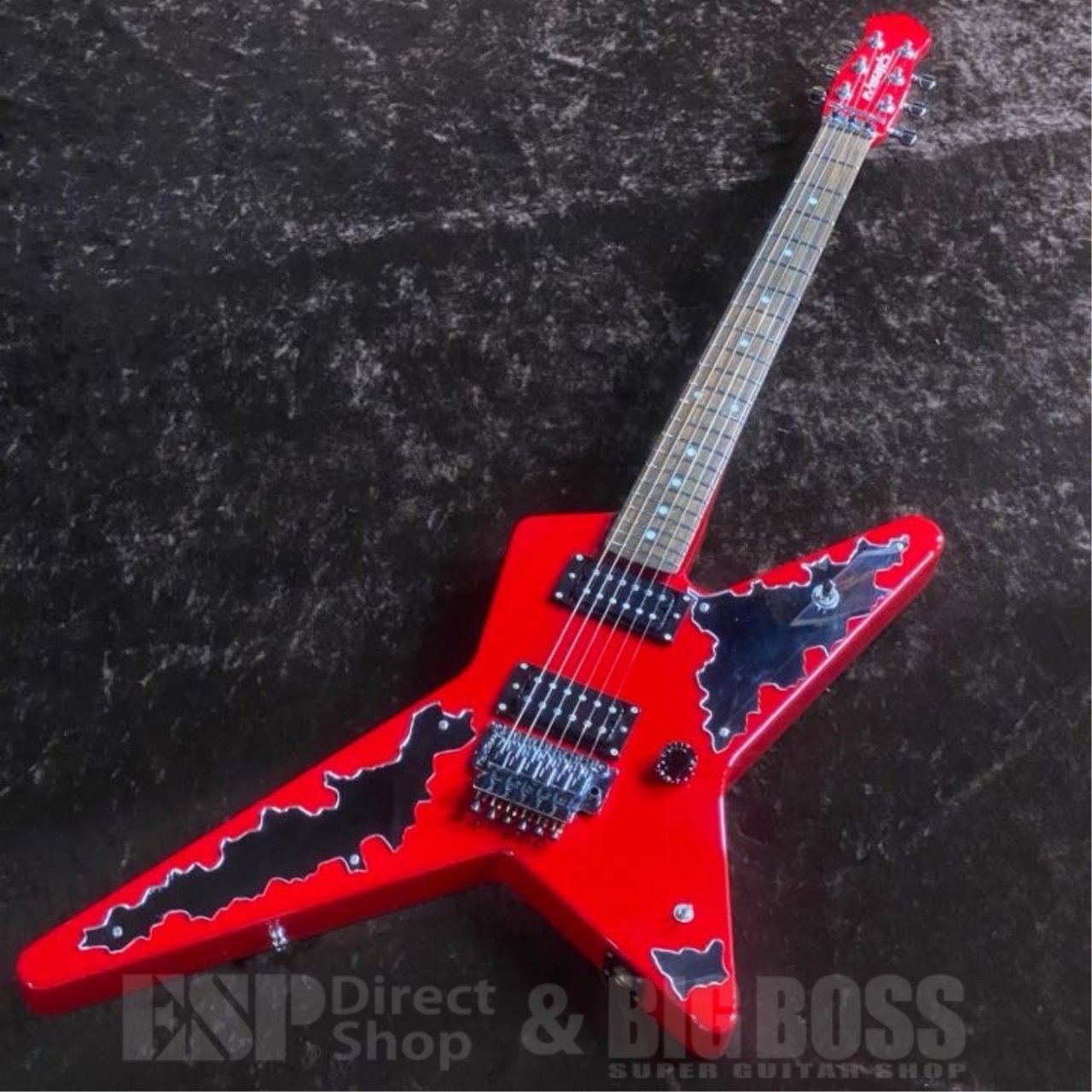 EDWARDS E-RS/R