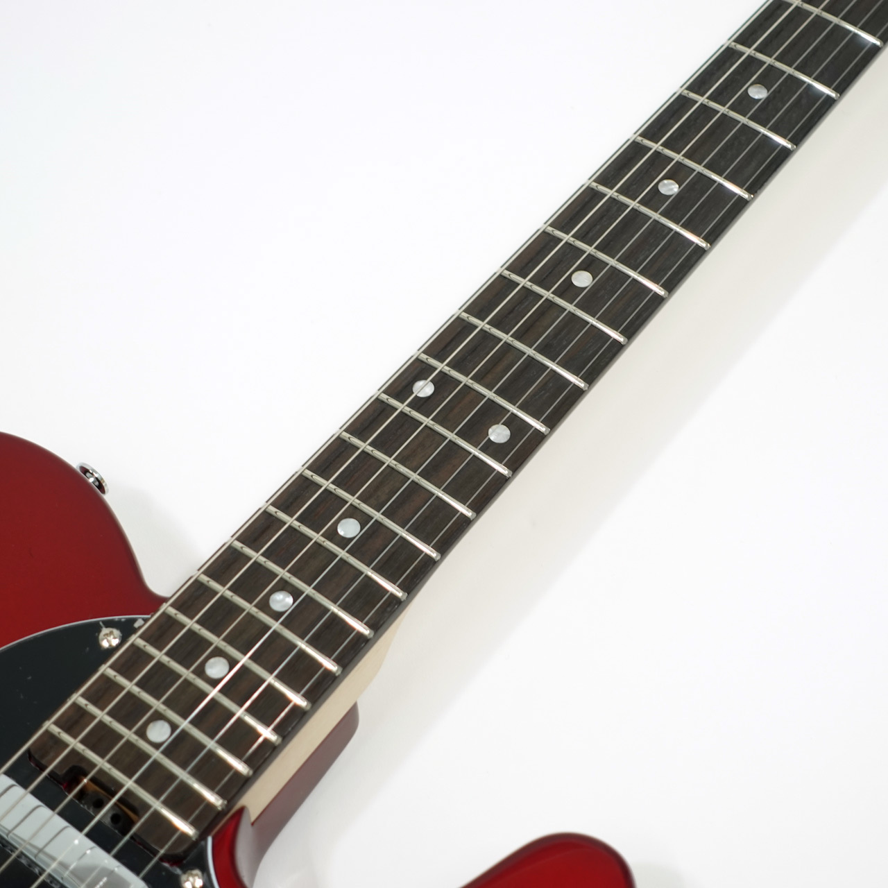 SCHECTER OL-PT-TH / CAR（新品特価/送料無料）［デジマートSALE