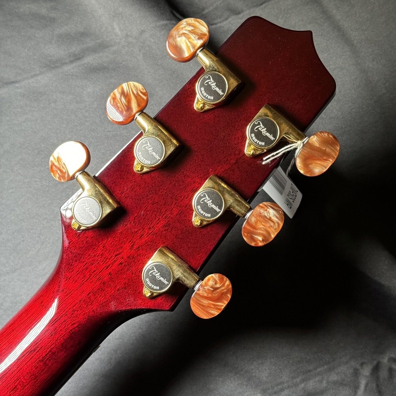 Takamine DMP50S WR エレアコギター セミハードケース付属 【島村楽器