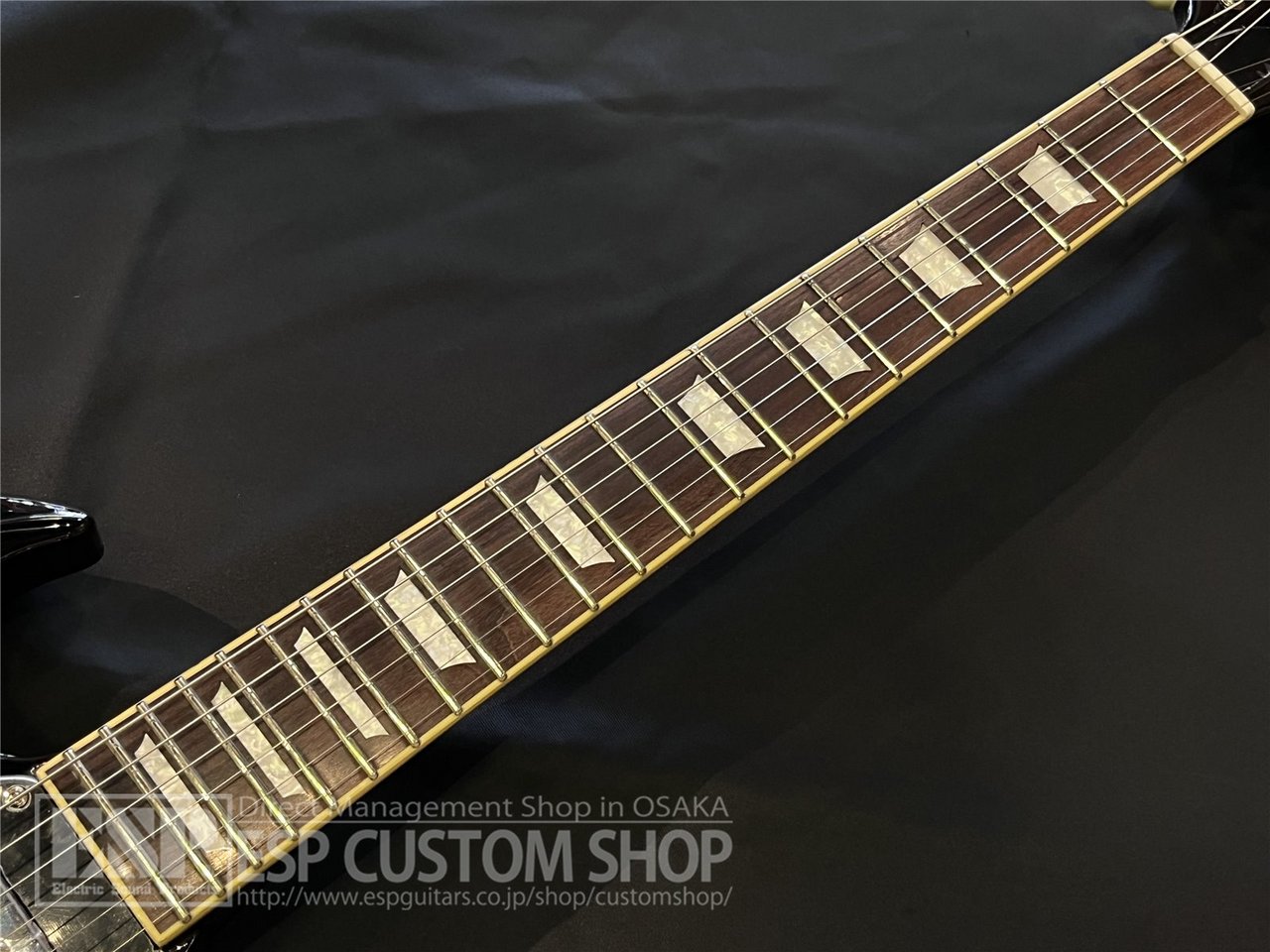 GrassRoots G-SG-STD Black（新品/送料無料）【楽器検索デジマート】