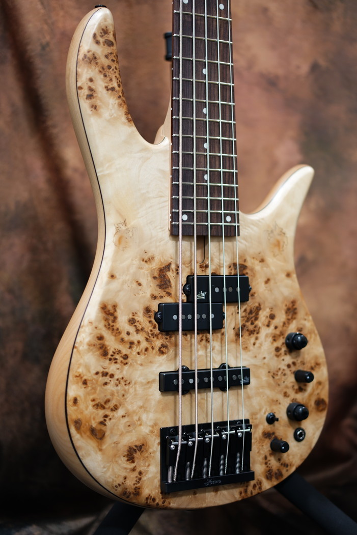 Fodera Monarch 5 Standard Special Poplar Burl（新品/送料無料 