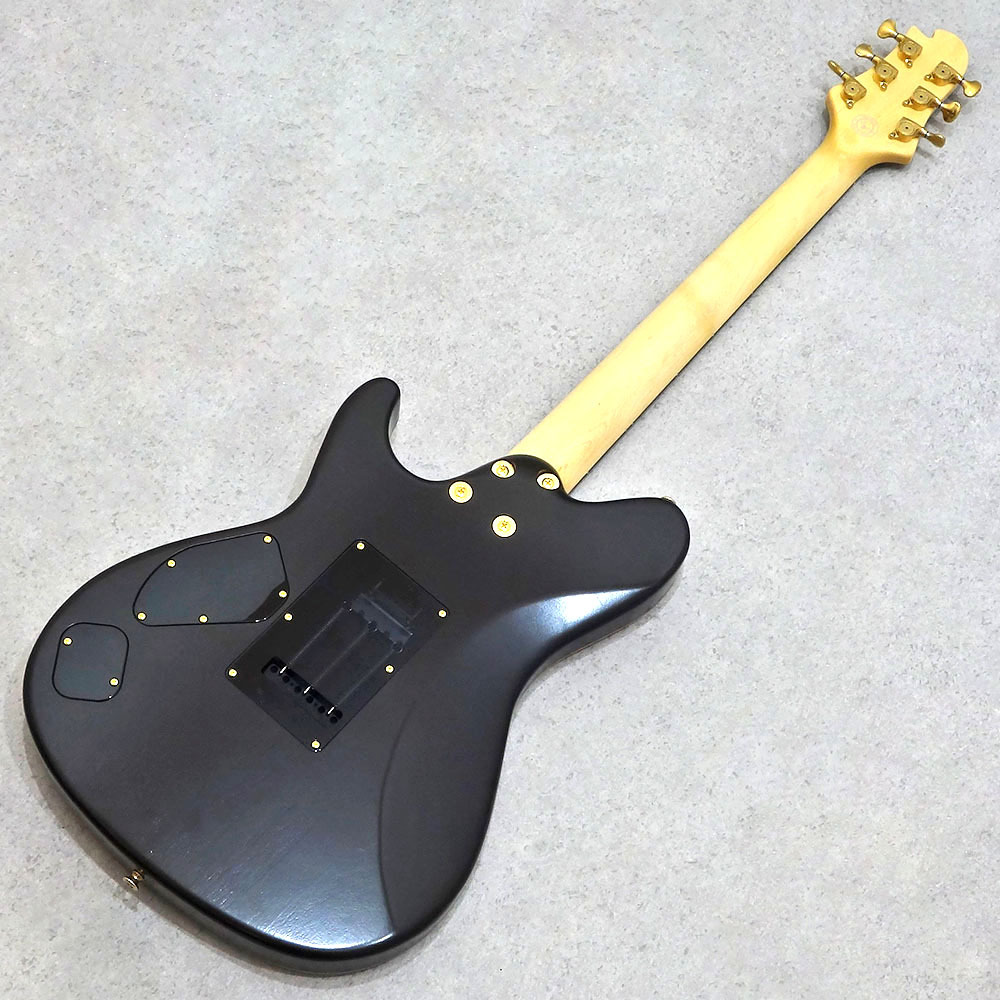 Sugi DS496C CLM/HM/ALD/NAT-WN 【サウンドメッセ2026出展モデル