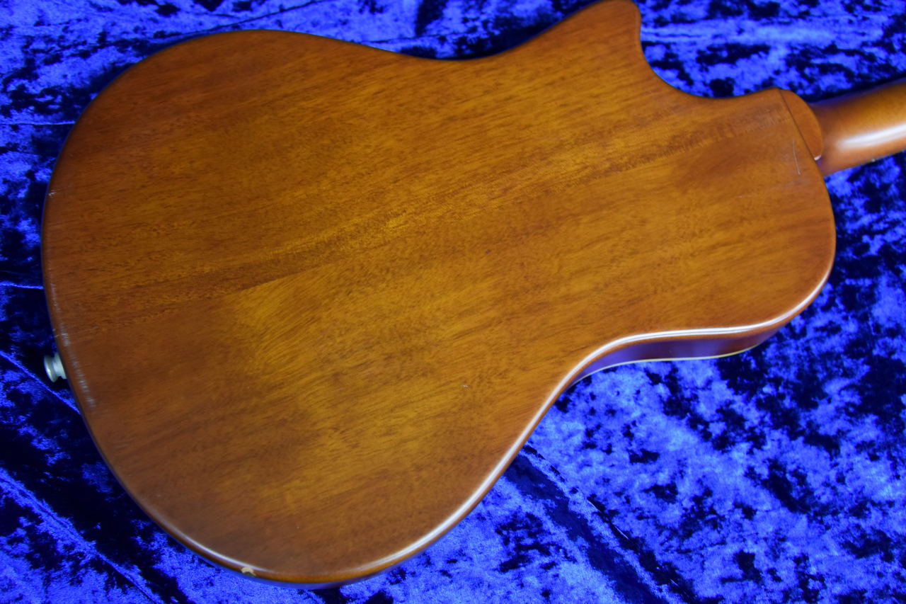 ESP BambooInn-C ピックアップ搭載モデル（中古）【楽器検索デジマート】