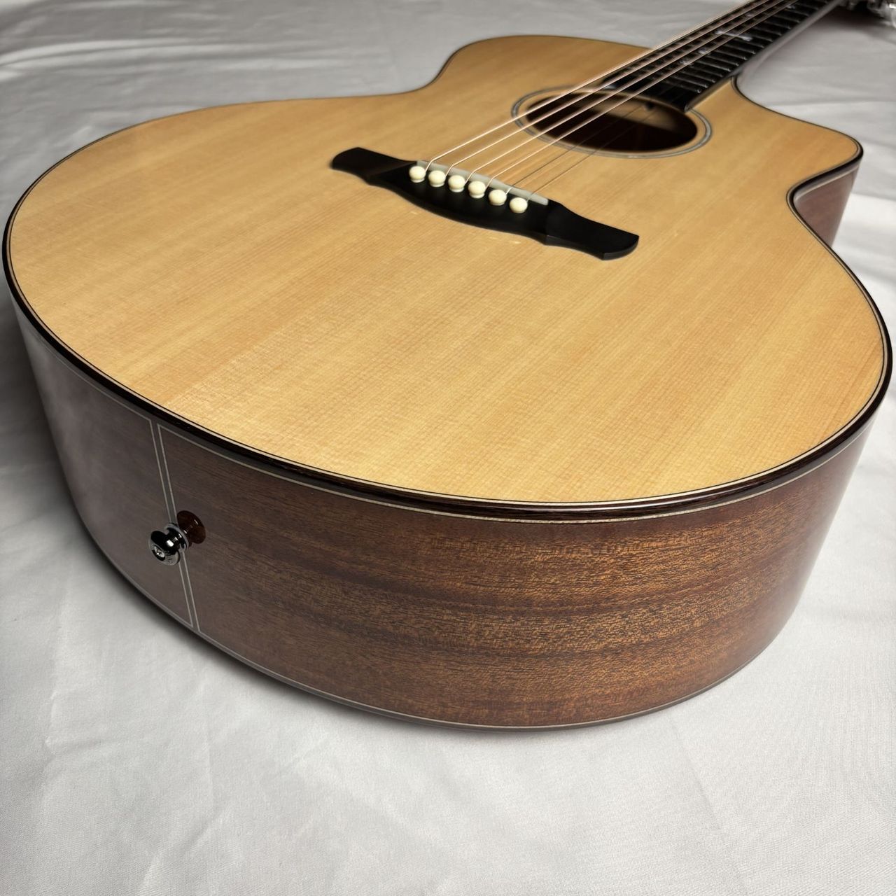 NATASHA DOG アコーステックギター ドッグバージョン トップ単板（新品