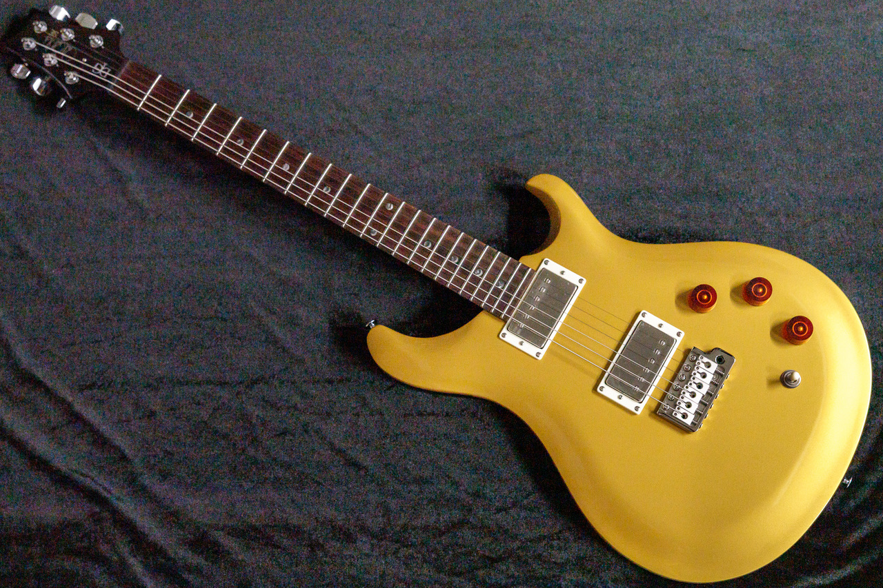 Paul Reed Smith(PRS) SE DGT Moons GoldTop #F027726 3.36kg【TONIQ