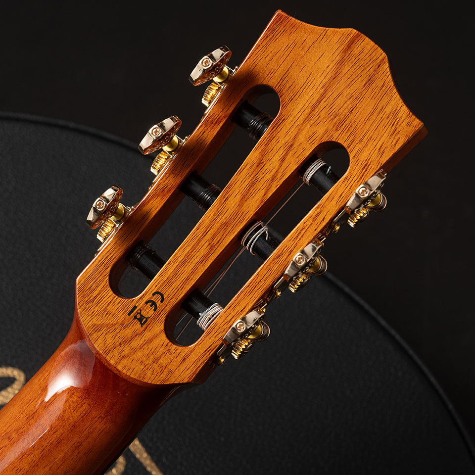 Bromo Guitars BEN2C Trans Black （B級特価）【楽器検索デジマート】
