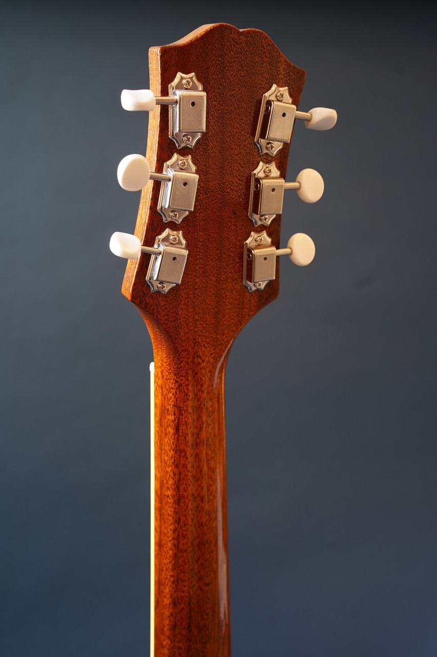 KING SNAKE Muddy non-cutaway（新品/送料無料）【楽器検索デジマート】