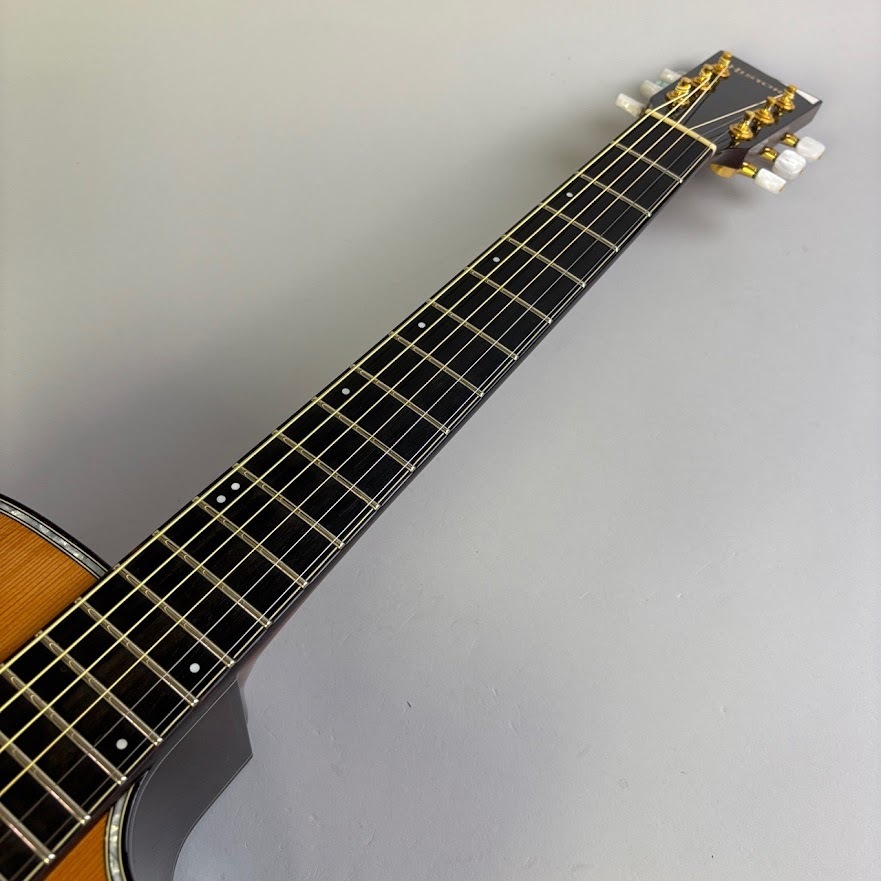HISTORY NT-301CA（中古/送料無料）【楽器検索デジマート】