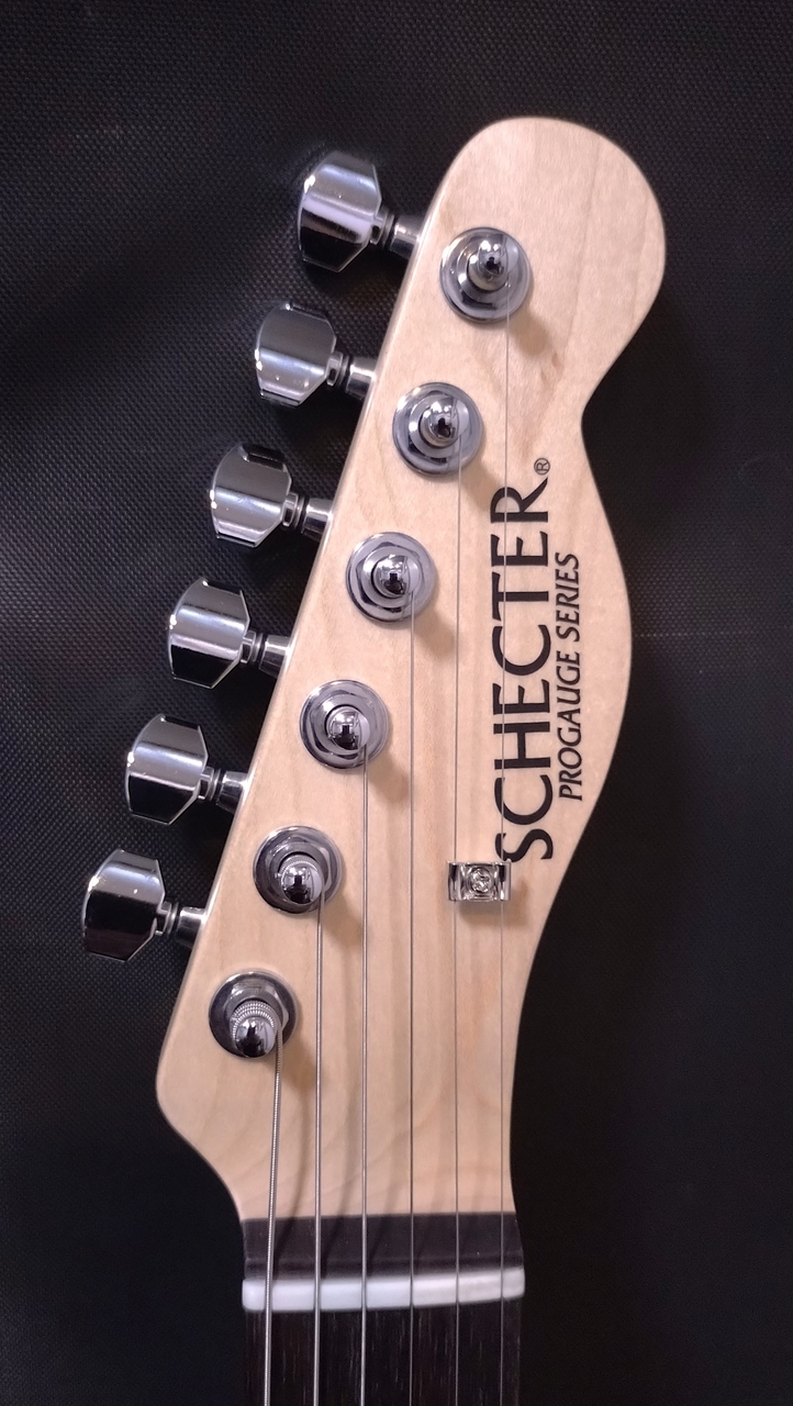 SCHECTER PA-LS/TK 【入荷未定・ご予約受付中】（新品）【楽器検索