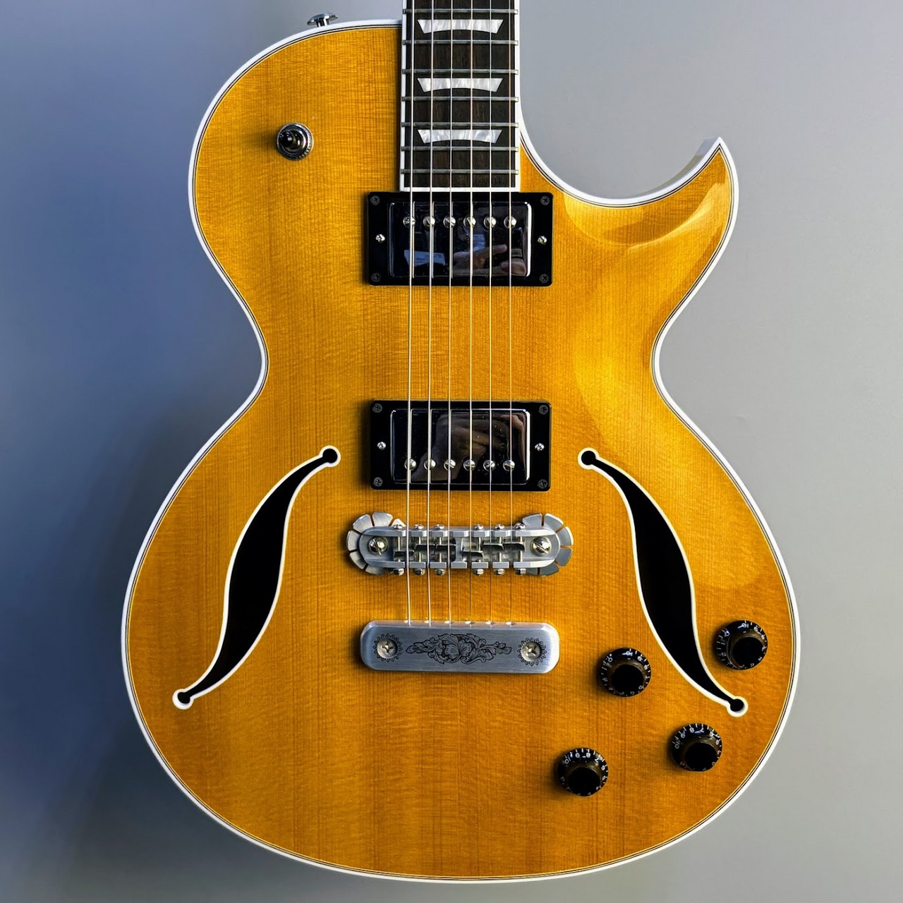 The Samick エレキギター フルホロウボディ Amazon | ジャズ・エレクトリック・ギター、アーチトップ