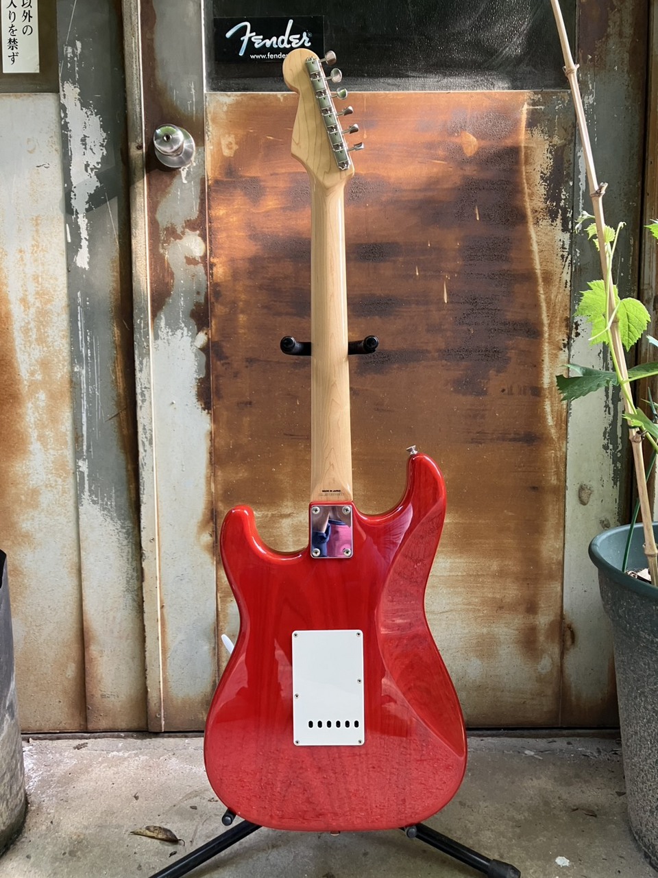 ギター Fender JAPAN ST62 ASH MH TRR Fender Japan ST62 ASH MH TRR 22フレット 2012（中古）【楽器検索