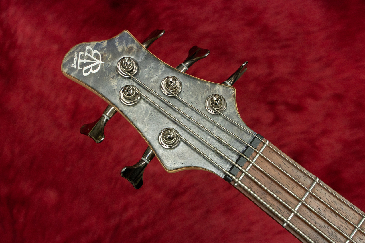 ぺーぺー様 ATELIER Z Beta 4 (N/M Black-HW) ｜イケベ楽器店オンラインストア