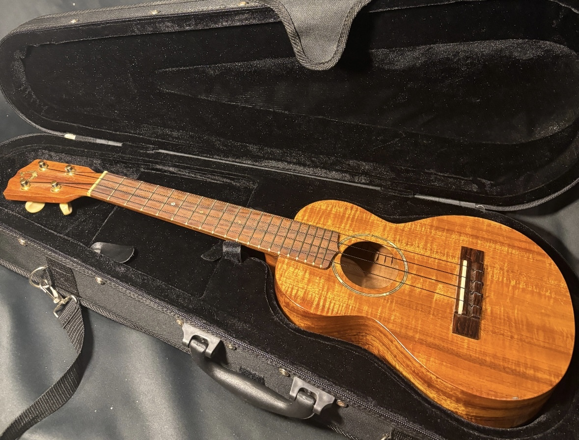 G string ウクレレ コンサート G String GStrings ukulele コンサートサイズ（中古）【楽器検索