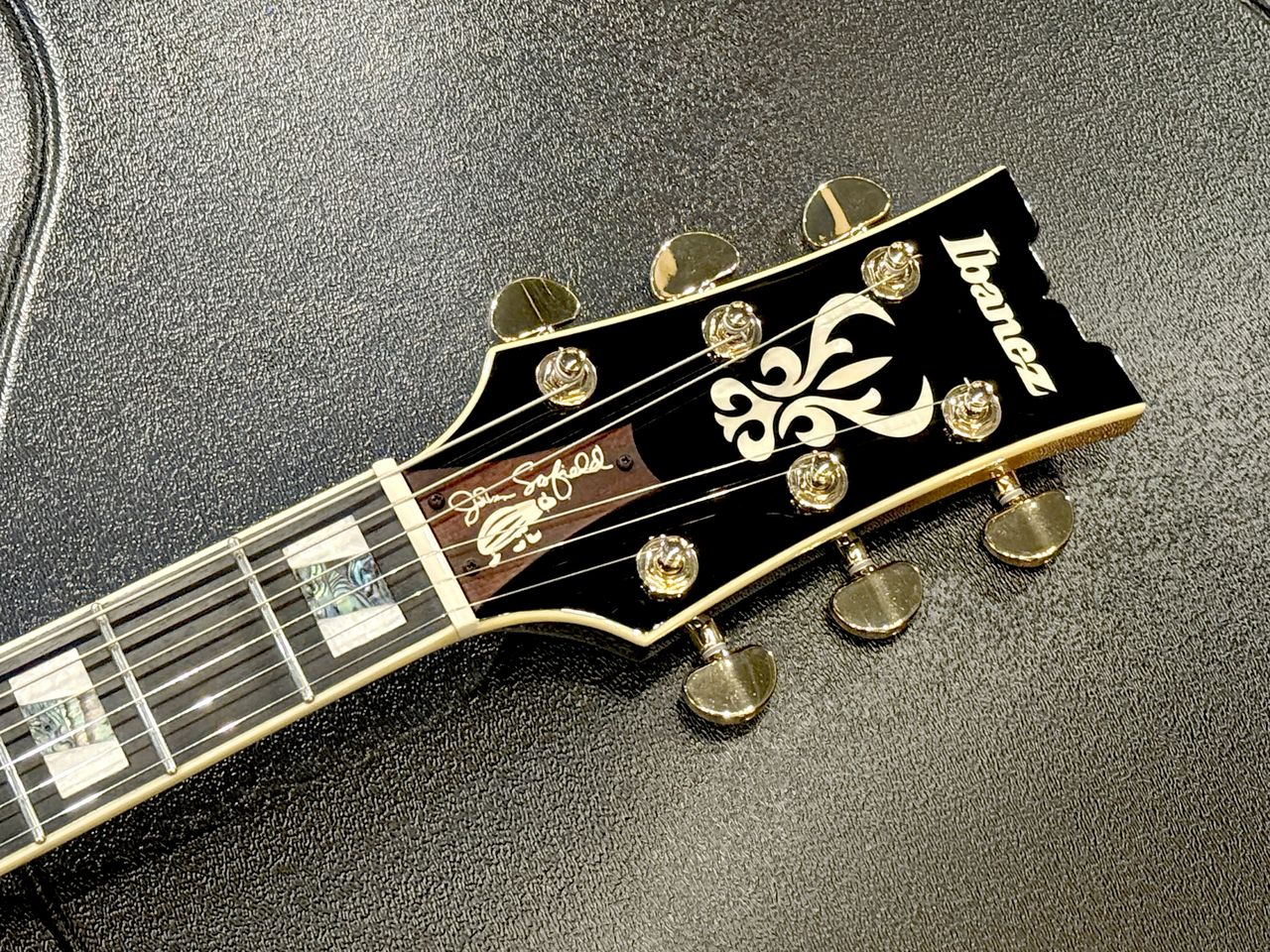 Ibanez John Scofield Model JSM10-VYS（中古）【楽器検索デジマート】