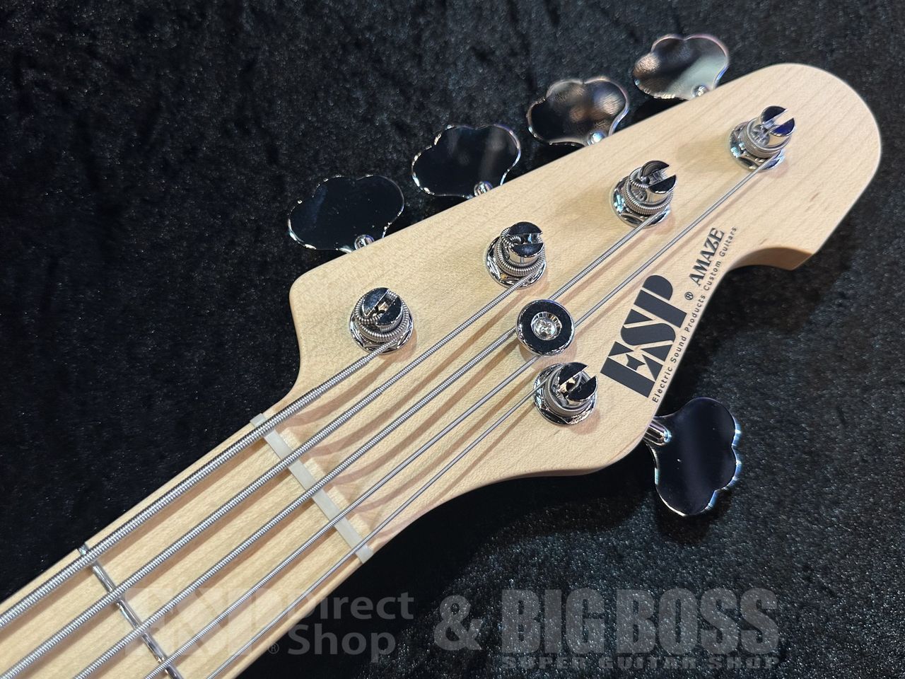 ESP AMAZE-AS-5 【Driftwood White w/Black Filler】（新品/送料無料