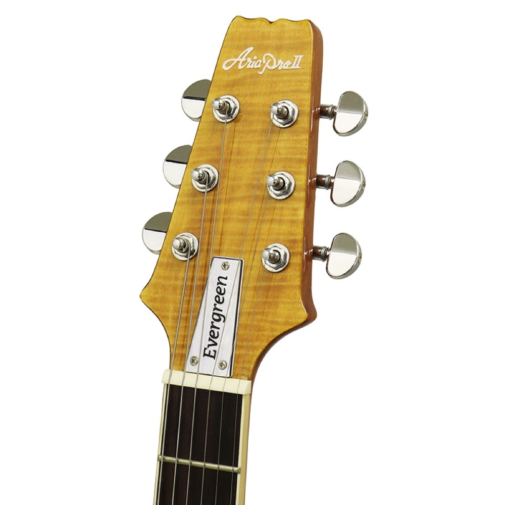 Aria Pro II PE-AE200 YG Aria Evergreen エレキギター（新品
