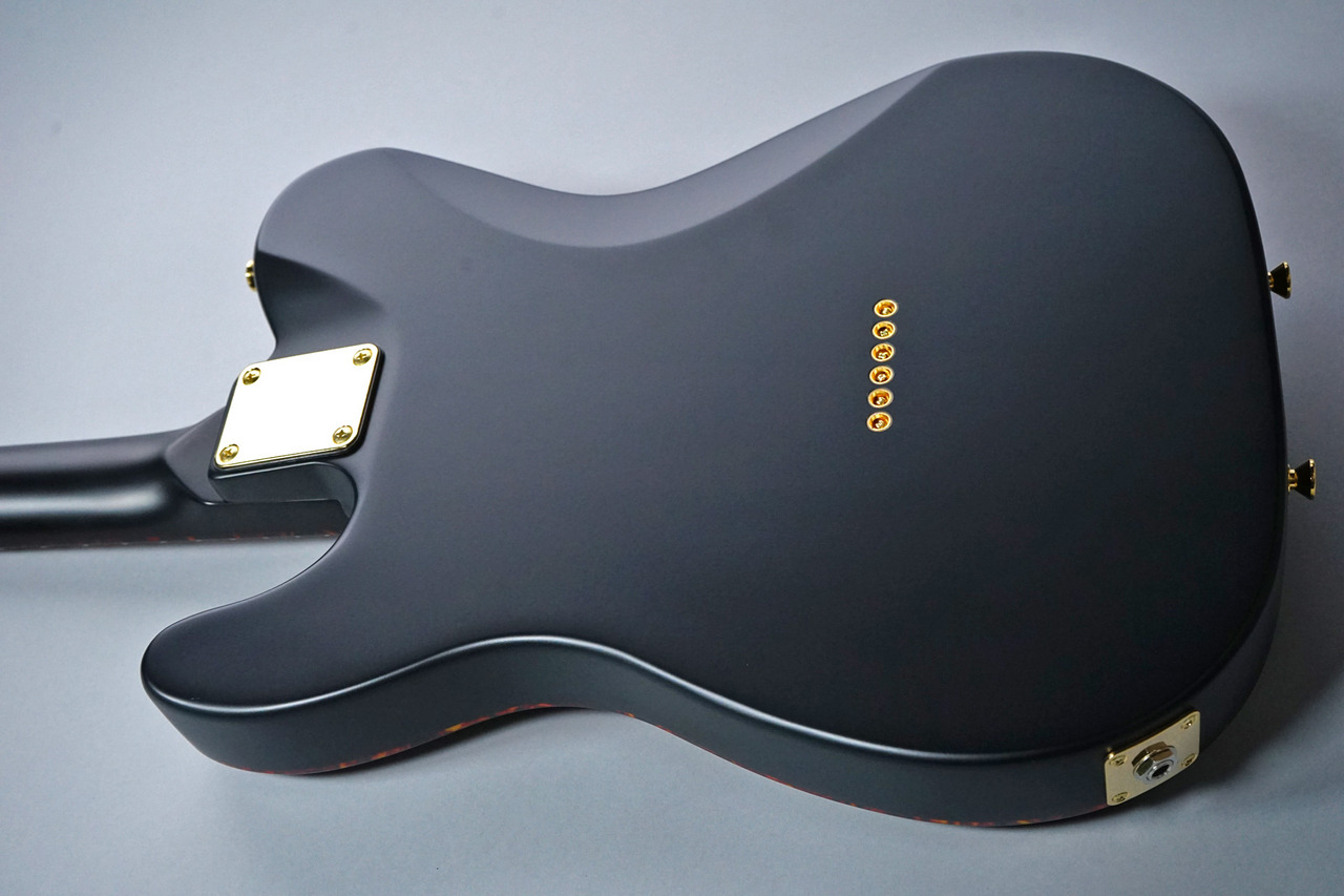 SCHECTER L-S-PT-AL-CTM/R 【ステンレスフレット・カスタムオーダー