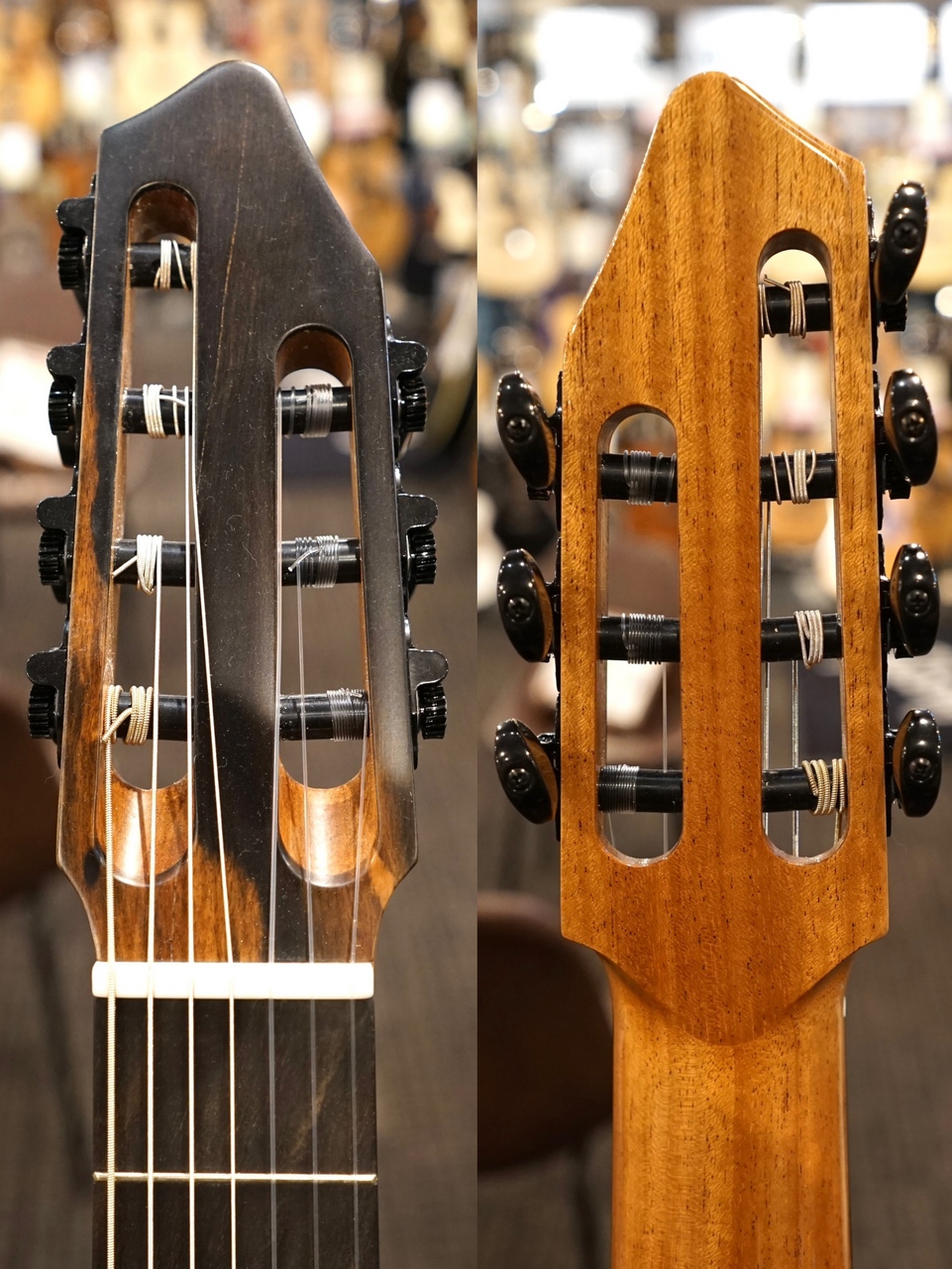 Orpheus Valley Guitars F65CW-7C 7弦 エレガット シダー単板（新品