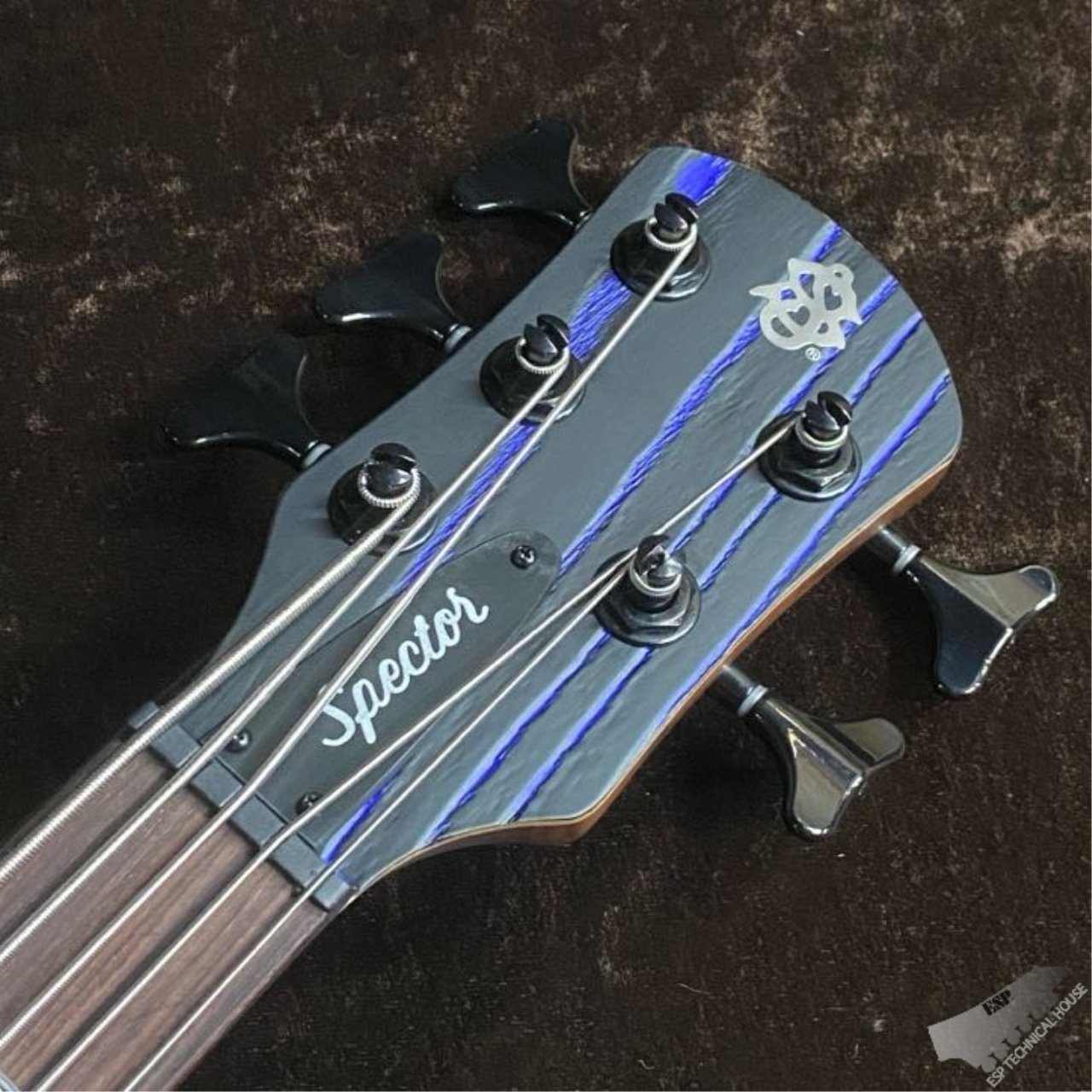 Spector NS Pulse 5 Japan Exclusive 【Black Blue Fill】（新品/送料