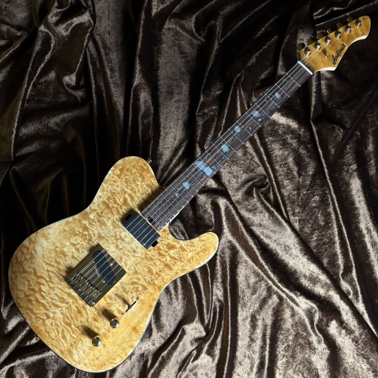 Aria Pro II 《現物画像 / 限定生産モデル》TEG-780 N(Natural