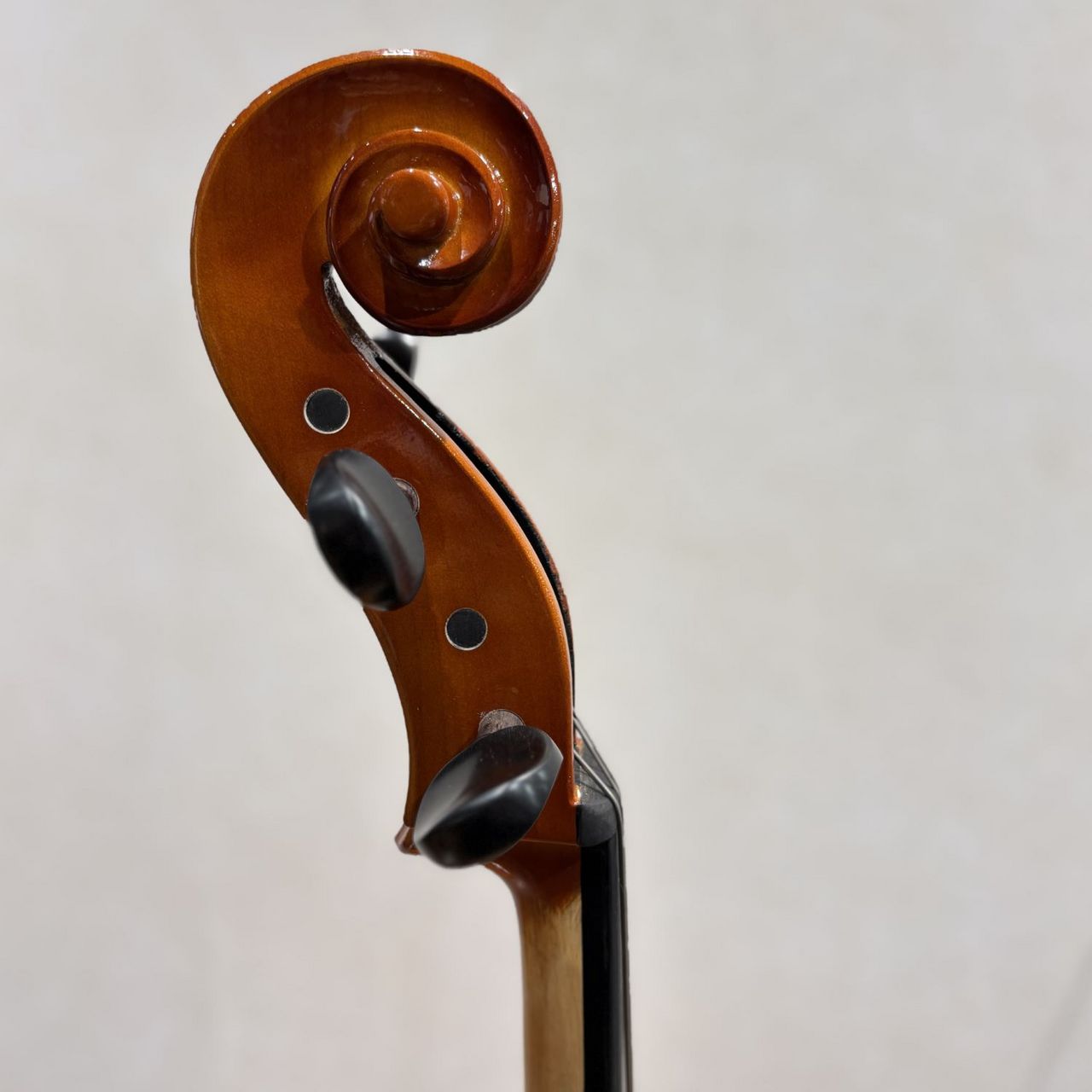 Carlo Giordano SC-100 4/4 チェロセット（新品/送料無料