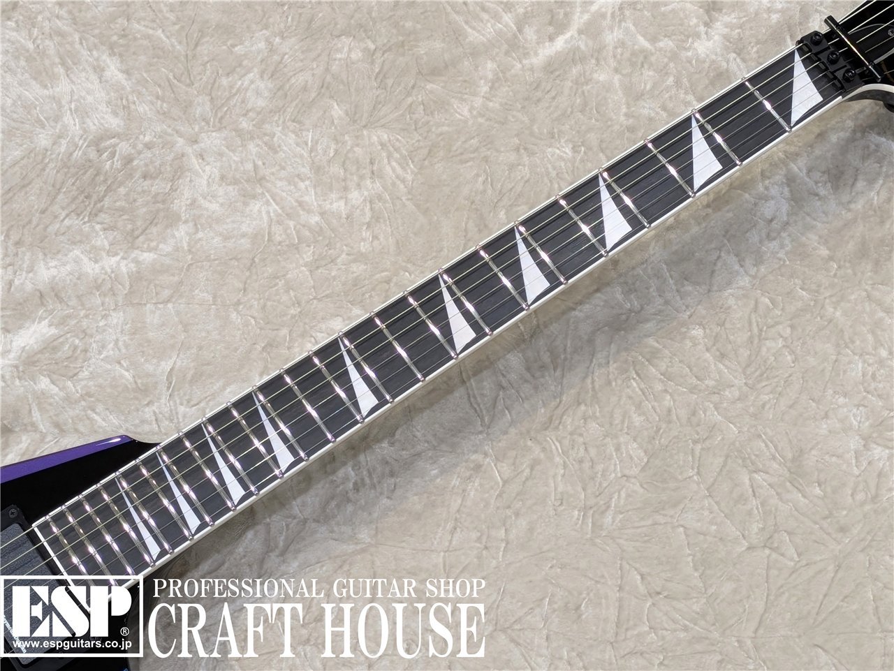 ESP ARROW FR / Black w/ANDROMEDA(新品/送料無料)【楽器検索 ESP ARROW FR / Black w/ANDROMEDA(新品/送料無料)【楽器検索