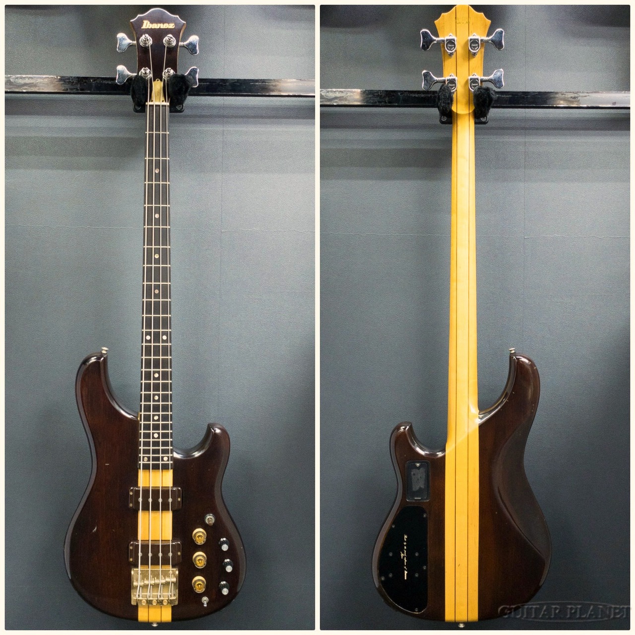 Ibanez 【リニューアルセール!】MC924 -Dark Stain-【1981