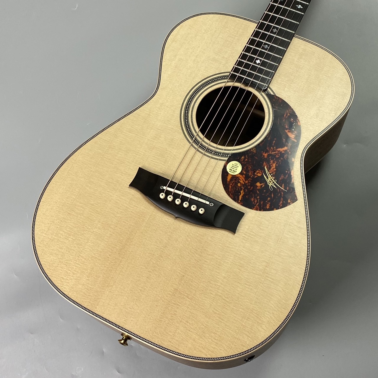 MATON EBG808 ARTIST エレアコ【現物写真】（新品/送料無料）【楽器 