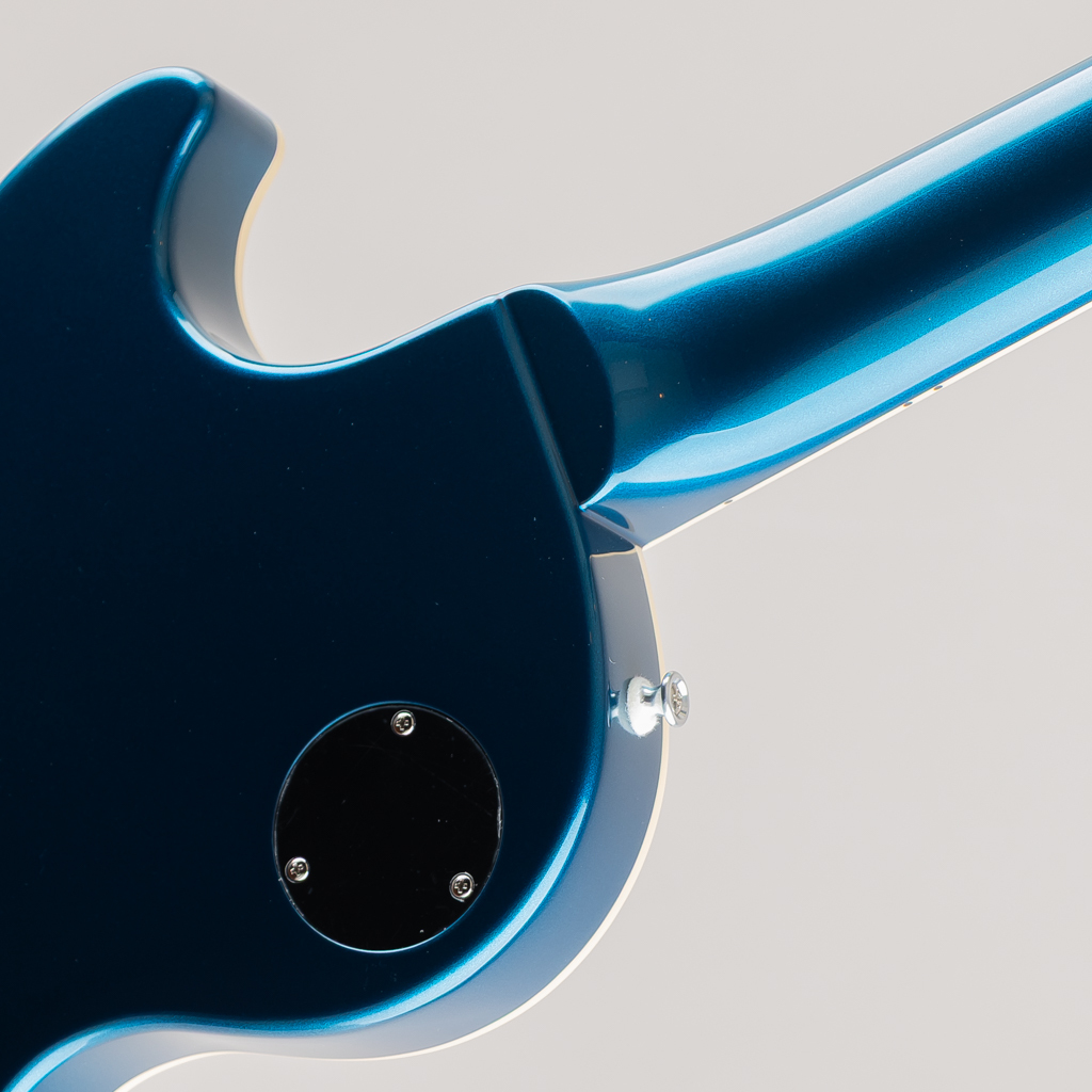 FUJIGEN(FGN) NLS100RMPTB / Old Lake Placid（新品/送料無料）【楽器
