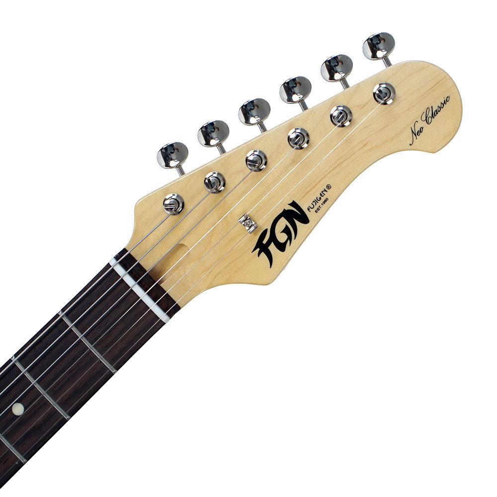 FUJIGEN(FGN) フジゲン FGN Neo Classic NTE100RAL BK テレキャスター