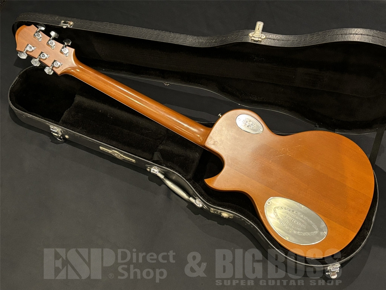 Zemaitis Tony's Collection S22 MT Leaf / Natural（中古/送料無料